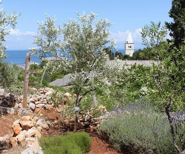 7879b Apartmán Mali Lošinj