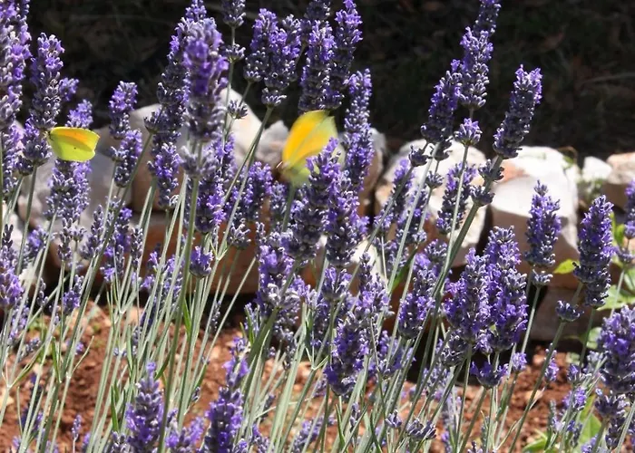 Apartament 7879b Mali Lošinj